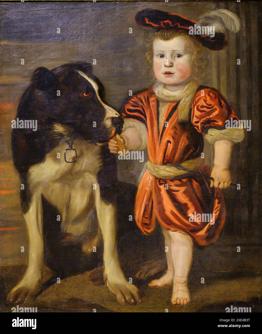 Junge mit einem Hund Stockfoto