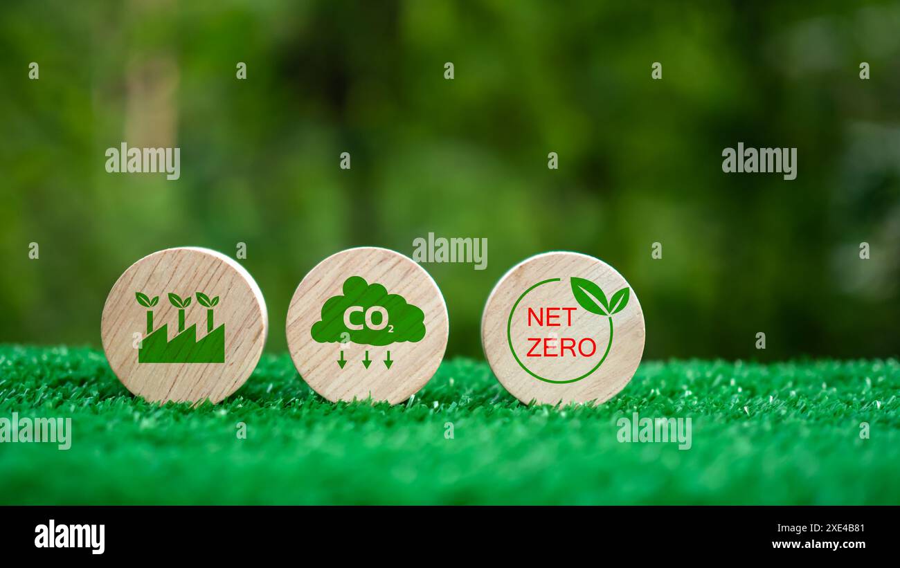 Drei hölzerne Kreise mit grünem Hintergrund und den Worten CO2, Net Zero. CO2-Emissionsreduktionskonzept, saubere Umwelt ohne Kohlendioxid-emi Stockfoto