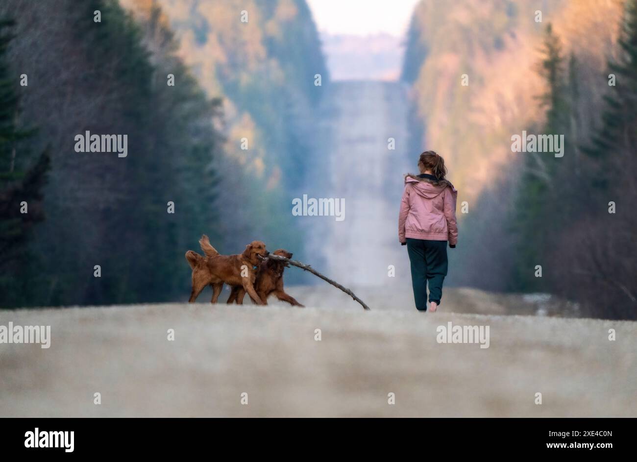 Spaziergang Im Norden Von Saskatchewan Stockfoto