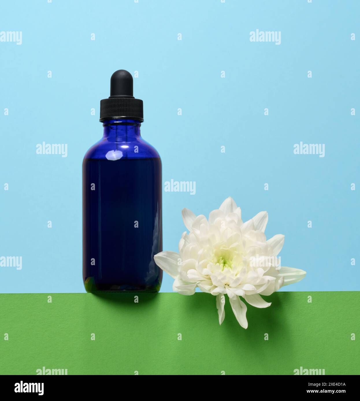 Eine glasblaue Flasche mit Tropfer auf blauem Hintergrund, ein Behälter für kosmetische Produkte. Stockfoto