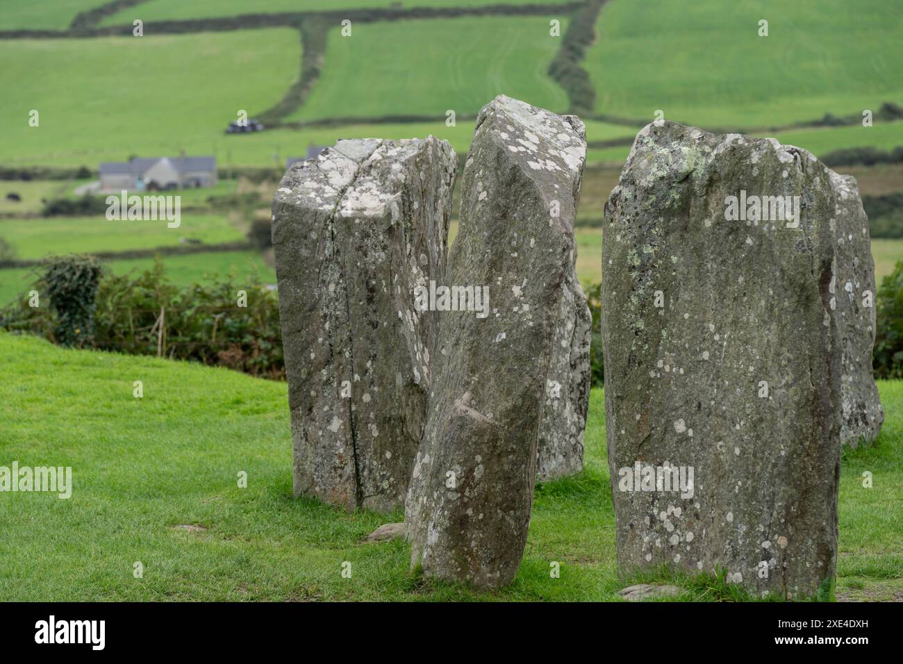 Megalithkreis von Drombeg Stockfoto