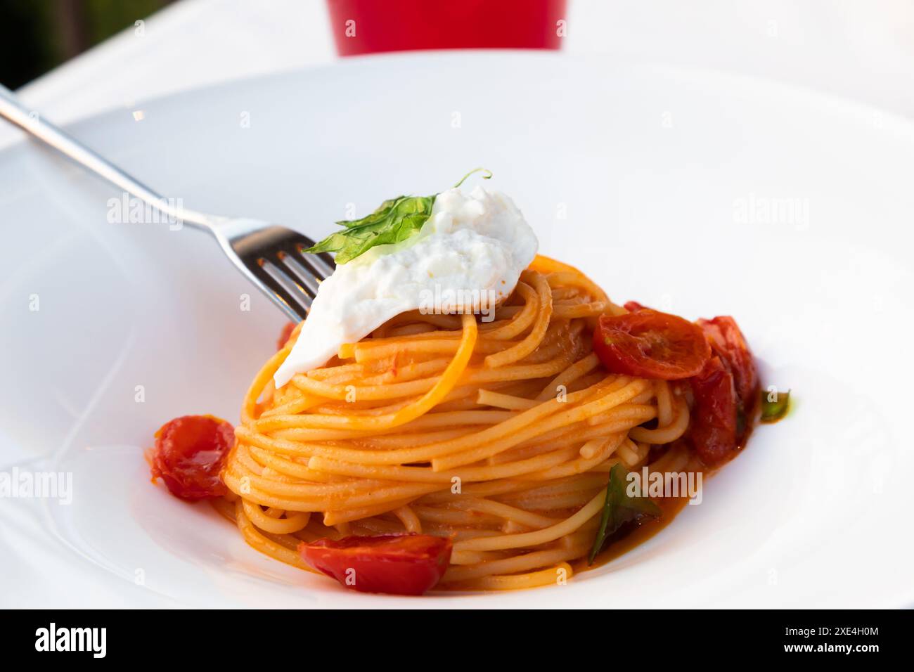 Italienische Pasta - Spaghetti mit Mozzarella-Käse-Nahaufnahme, mediterrane Diät. Stockfoto