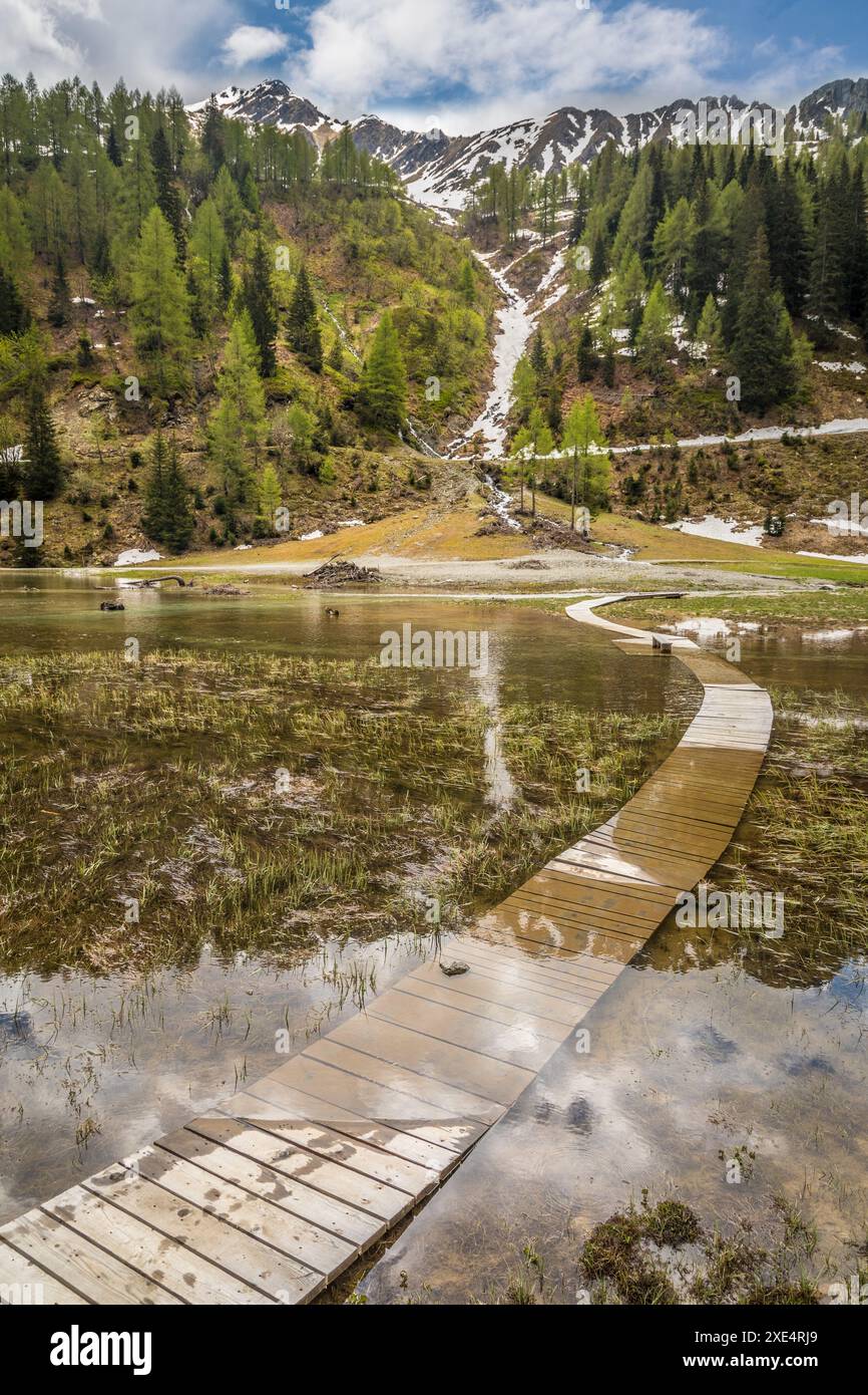 Geographie / Reise, Österreich, überfluteter Holzweg am Klapfsee im Dorfertal, Obertilliach, ADDITIONAL-RIGHTS-CLEARANCE-INFO-NOT-AVAILABLE Stockfoto