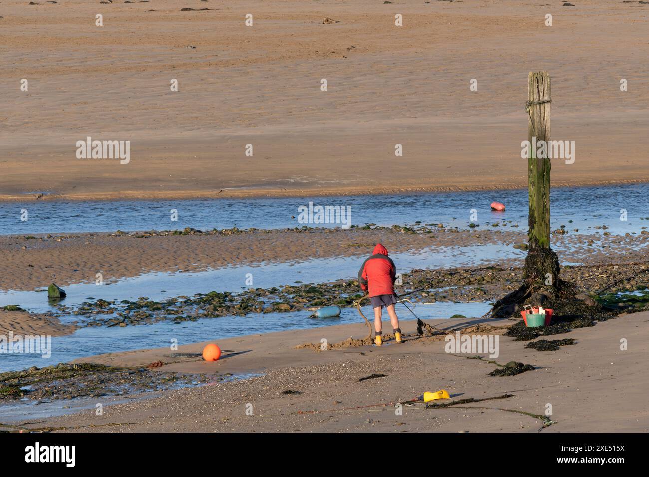 Ein Mann, der allein am Summerleaze Beach bei Ebbe in Bude in Cornwall in Großbritannien arbeitet. Stockfoto