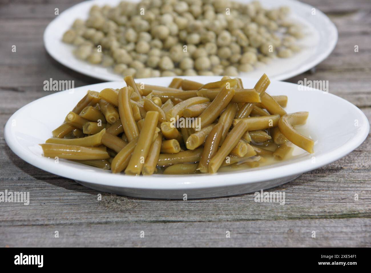 Phaseolus vulgaris, grüne Bohnen aus der Dose Stockfoto