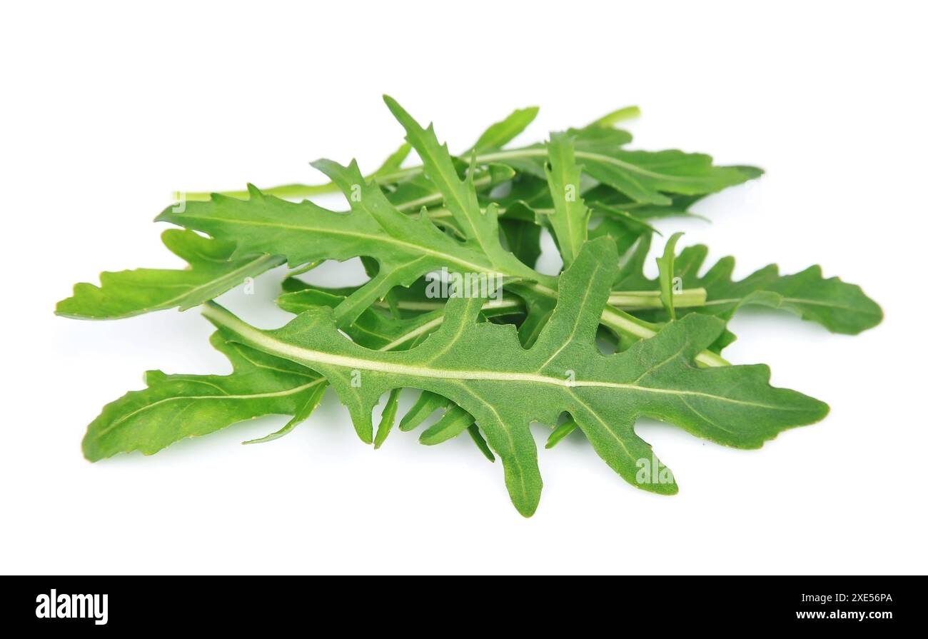 Rucola Blätter Stockfoto