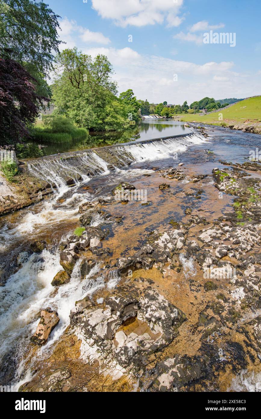 Weir am River Wharfe, oberhalb der Linton Falls, Yorkshire dales National Park. In der Nähe des Wasserkraftwerks bei Linton Falls. Stockfoto