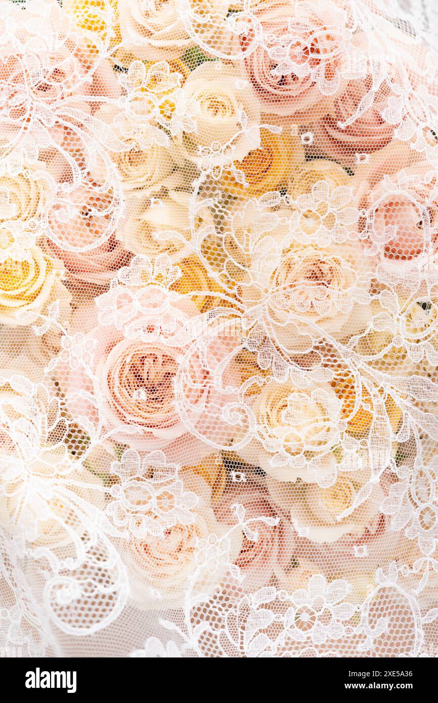 Feine Spitzenmuster und rosafarbene Rosen. Stockfoto