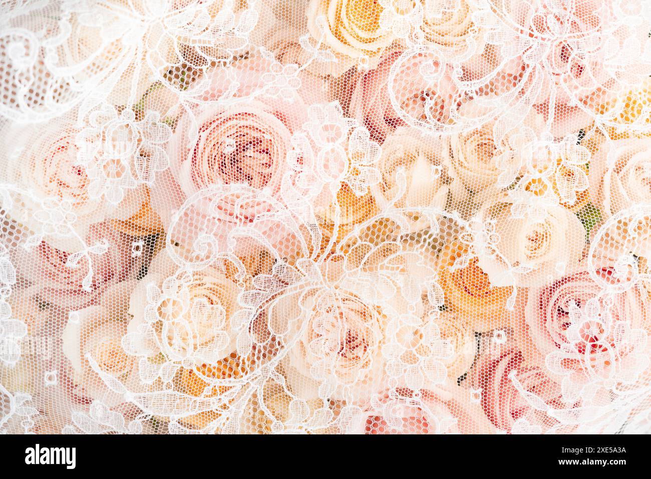 Feine Spitzenmuster und rosafarbene Rosen. Stockfoto