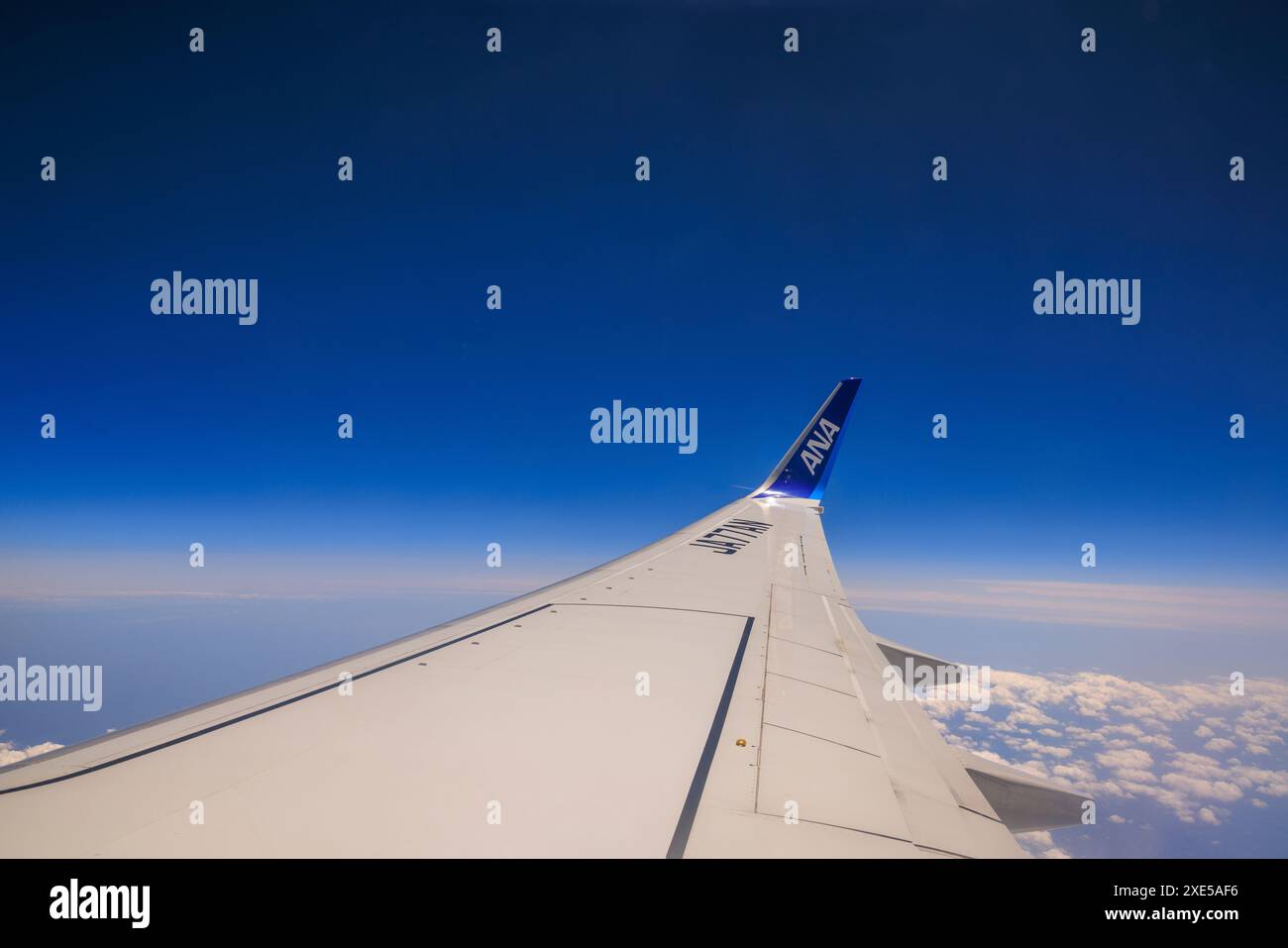 Flügel im blauen Himmel Stockfoto