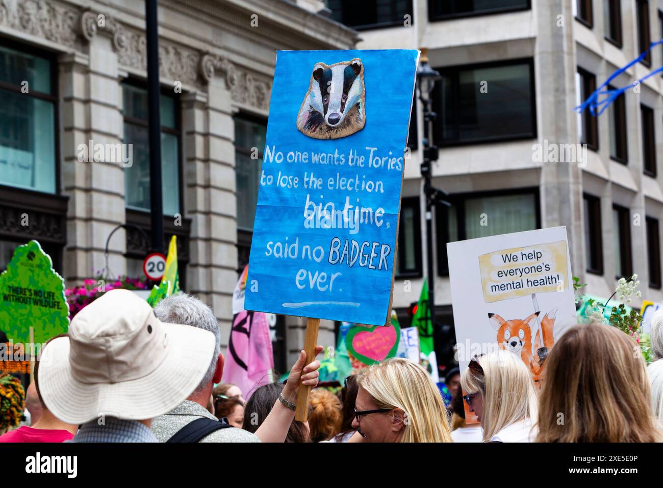 Plakate mit einem Dachs und einem Fuchs, die politische Erklärungen über Regierungsführung und psychische Gesundheit erklären, Restore Nature Now march, London, UK, 22. Juni 202. Stockfoto