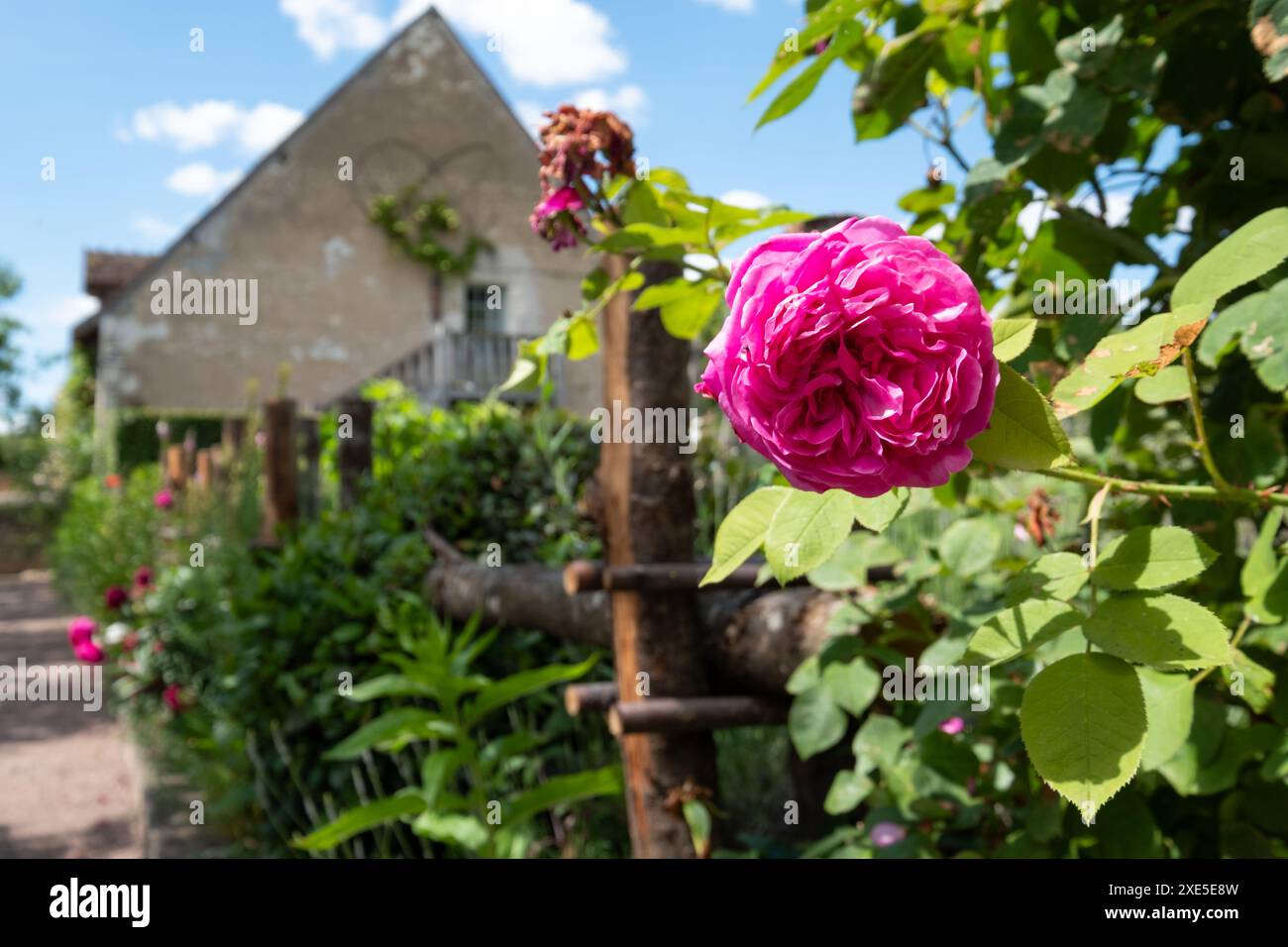 Atemberaubender Garten im Prieuré Notre Dame d'Orsan in Maisonnais, Provinz Berry im Loire-Tal, Frankreich. Renovierte Klostergärten im ländlichen Frankreich. Stockfoto