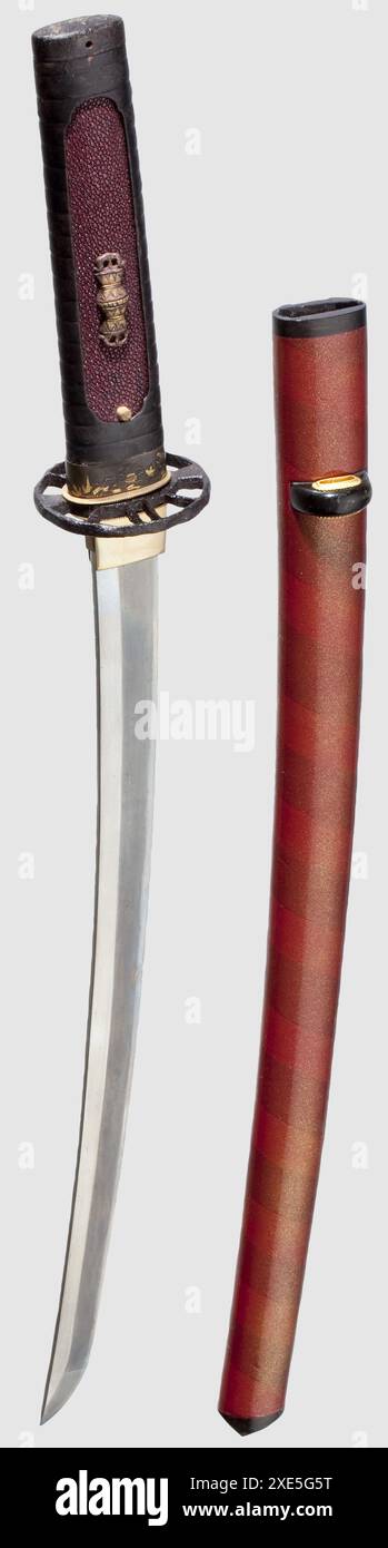 Waffen, Schwerter, Asiatisch, Wakizashi, Schwert, Japan, 16. Jahrhundert, EIGENTUM FREIGEGEBEN Stockfoto