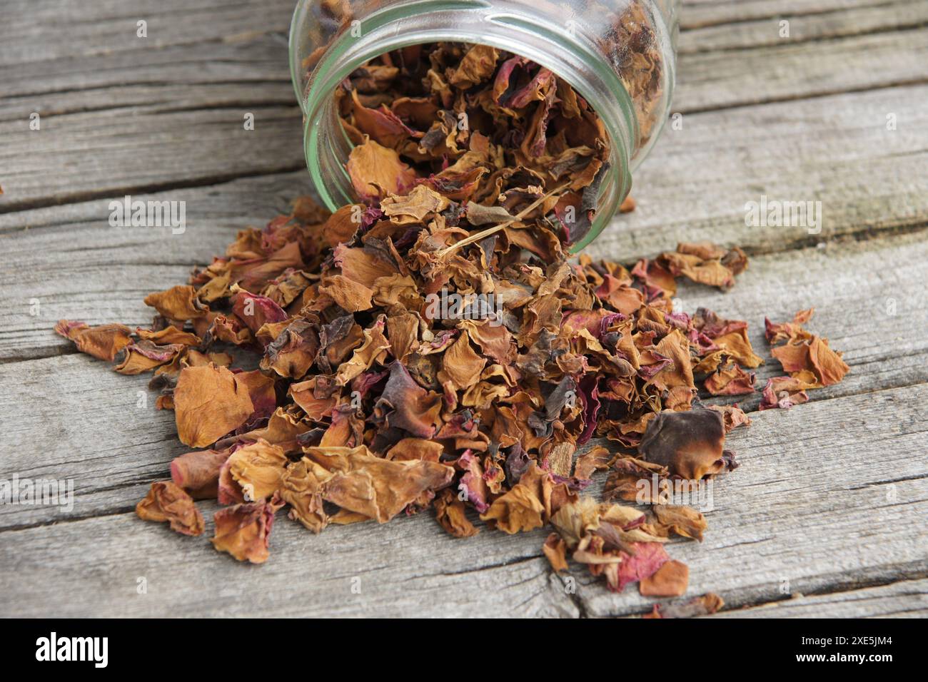 Rosa, getrocknete Blumen Stockfoto