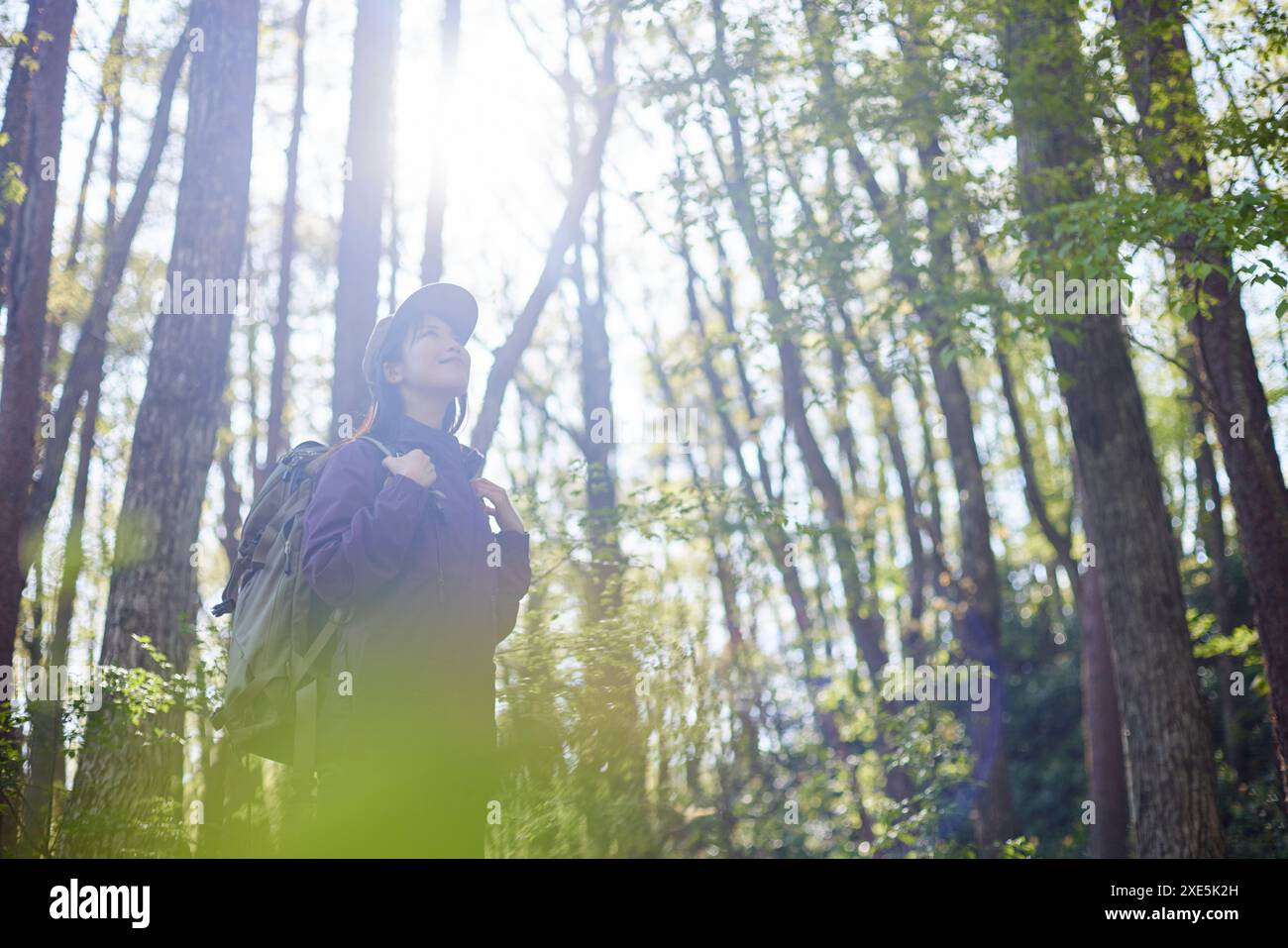 Frau, die im Frühsommer in einem Wald wandert Stockfoto