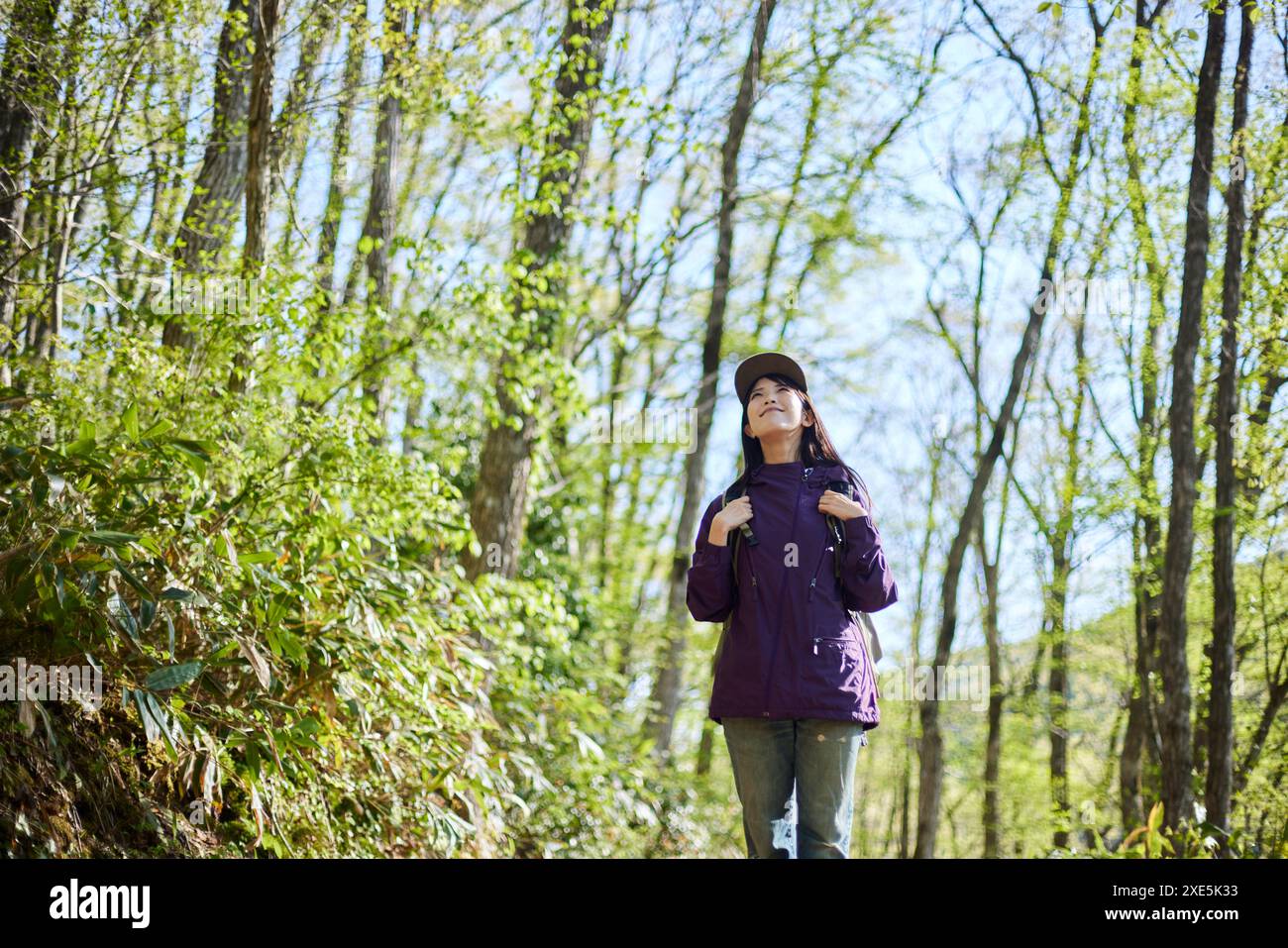 Frau, die im Frühsommer in einem Wald wandert Stockfoto