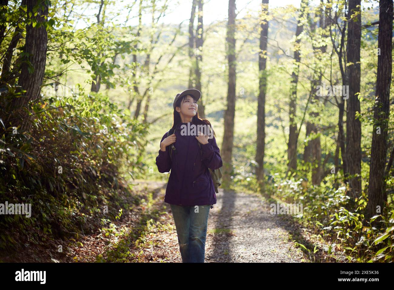 Frau, die im Frühsommer in einem Wald wandert Stockfoto