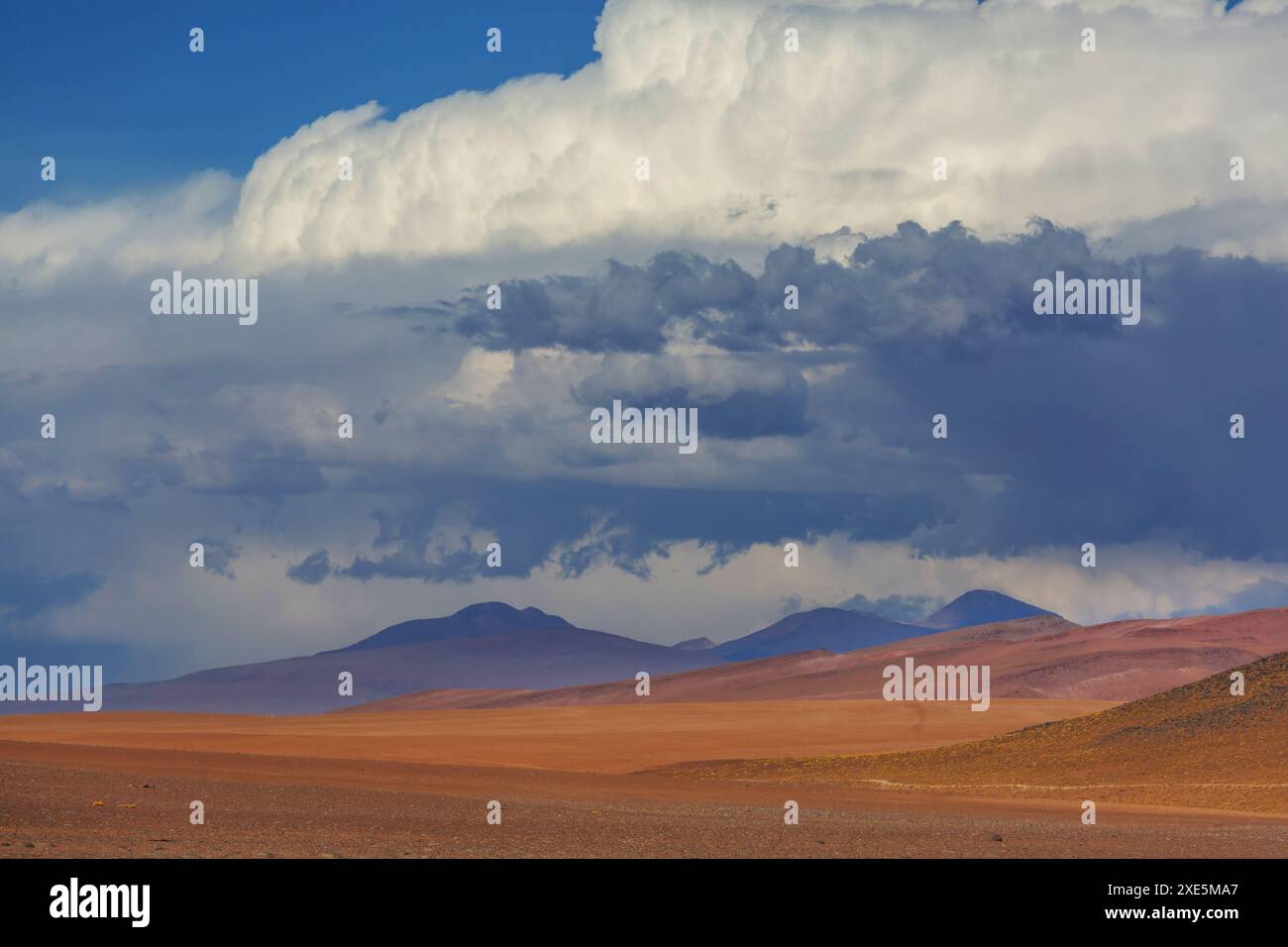 Desierto de Salvador DalÃ­ ist eine steinige Wüste inmitten des Eduardo Avaroa Andenfauna Nationalparks in Bolivien Stockfoto