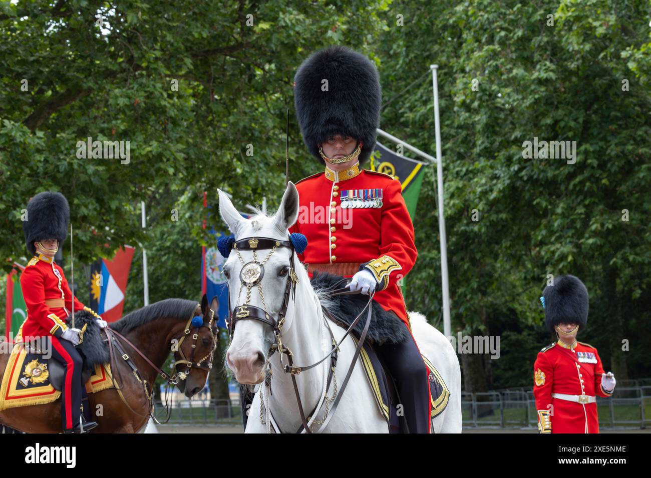 Kavallerie-Wächter Stockfoto