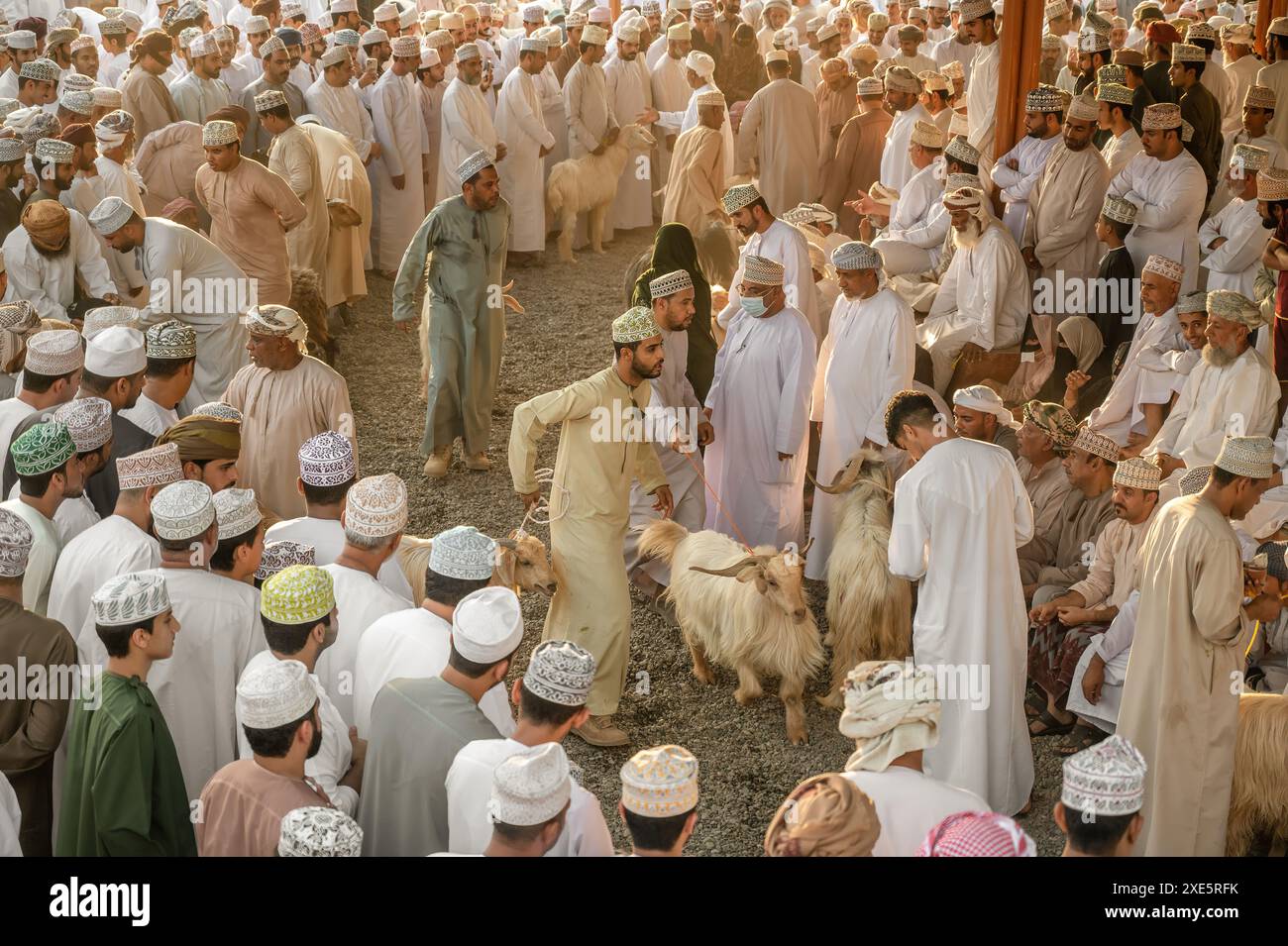 Traditioneller Viehmarkt in Nizwa Souq. Freitagmorgen versammeln sich die Leute auf dem Nizwa Markt vor Eid. Auch bekannt als Freitagsmarkt und Hapta Souk. Stockfoto