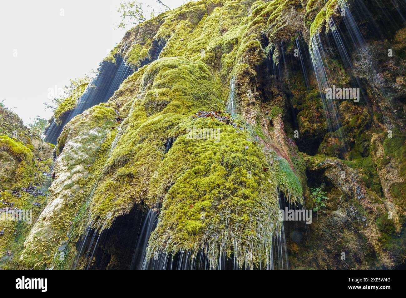 Wasserfall, Moos, Naturschutzgebiet, alpen, Berge, fluss, Bach, Wasser, Natur, landschaftlich, Landschaft, Wildnis, ruhig, friedlich, beschaulich, üppig, grün Stockfoto