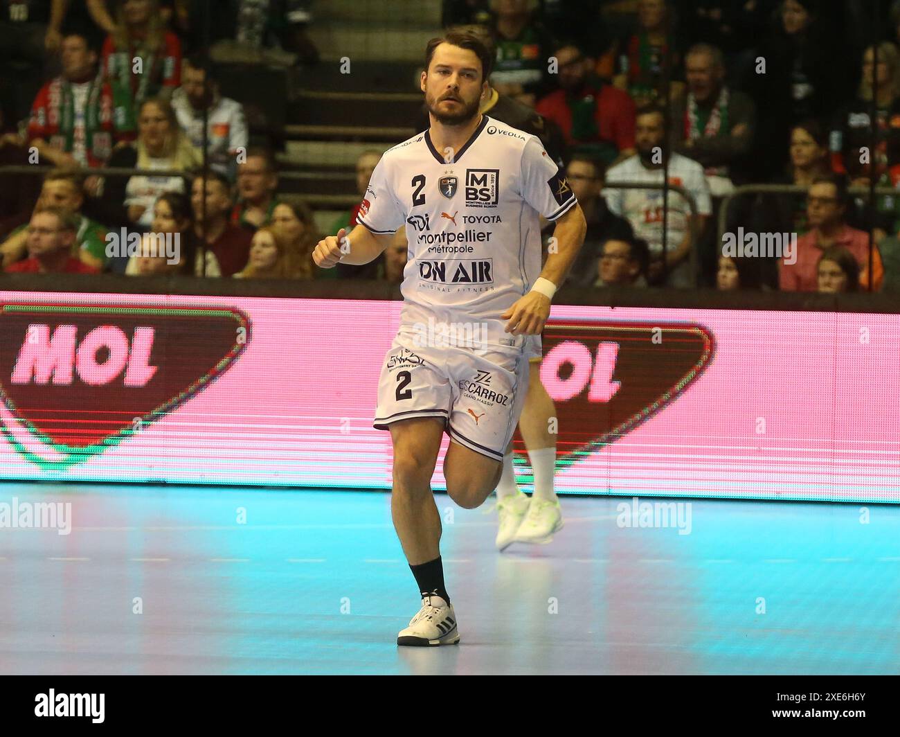 Sebastian Karlsson (MHSC) EHF CL Saison 2023-24 SC Magdeburg - Montpellier HSC am 11/30/2023 Stockfoto