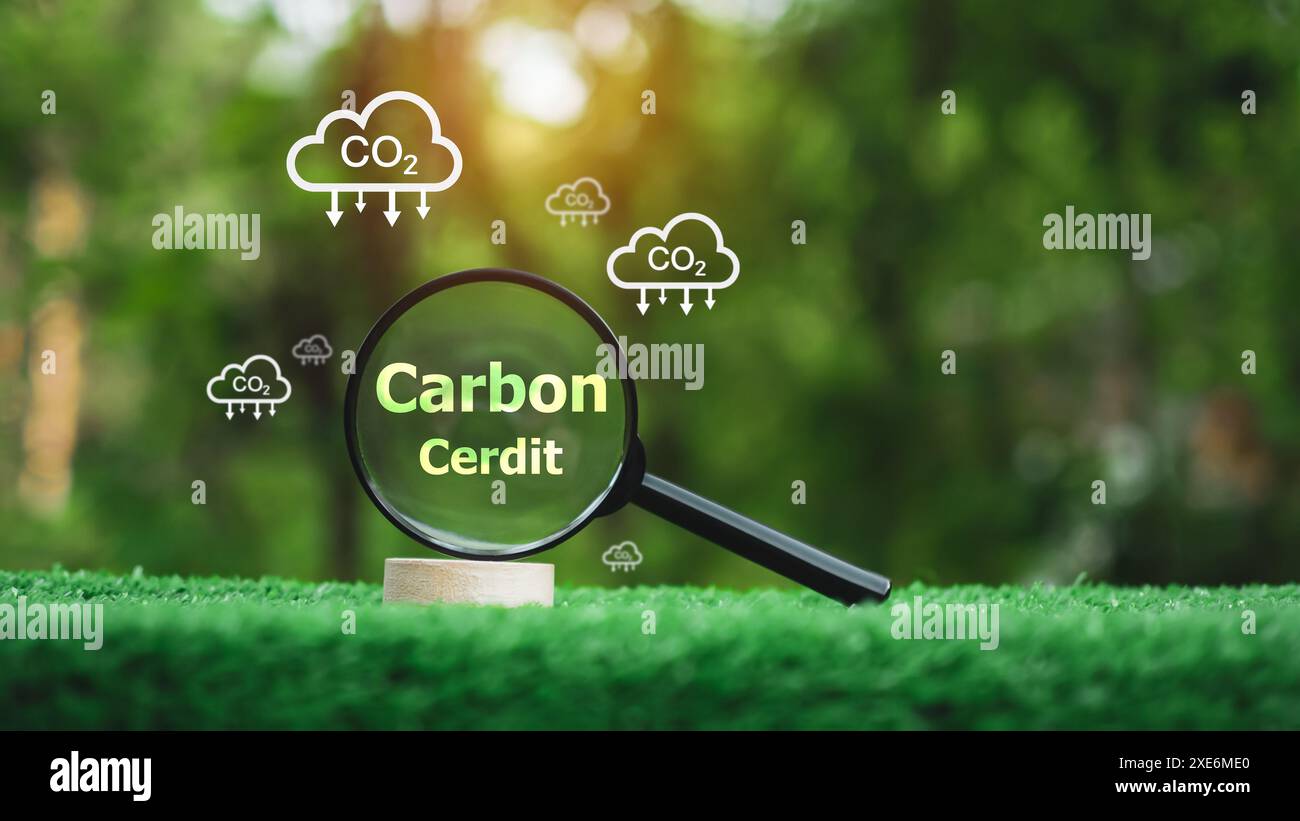 Auf einem grünen Grasfeld befindet sich eine Lupe mit einem Carbon Credit Logo, das Logo ist von Wolken umgeben und die Lupe ist oben darauf Stockfoto