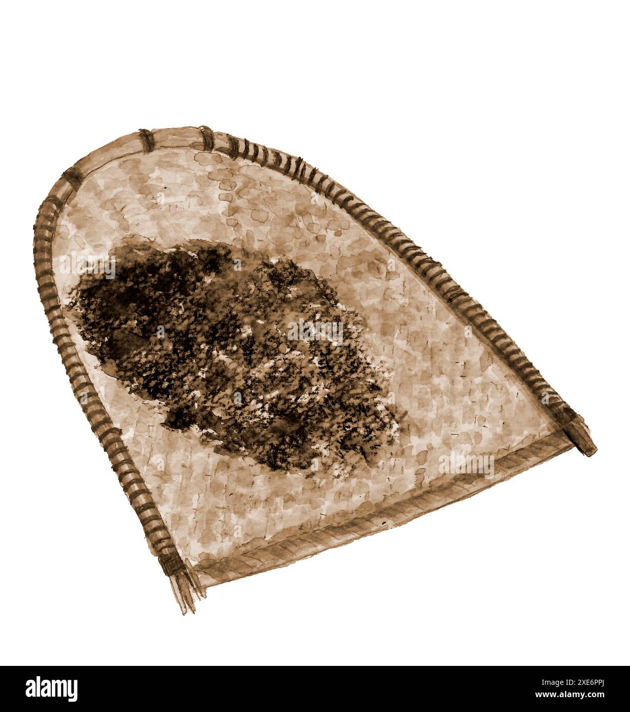 Alte landwirtschaftliche Werkzeuge gemalt mit Aquarellen Tang Winnowing Korb und Buchweizenschale Sepia Ton weiß Hintergrund Stockfoto