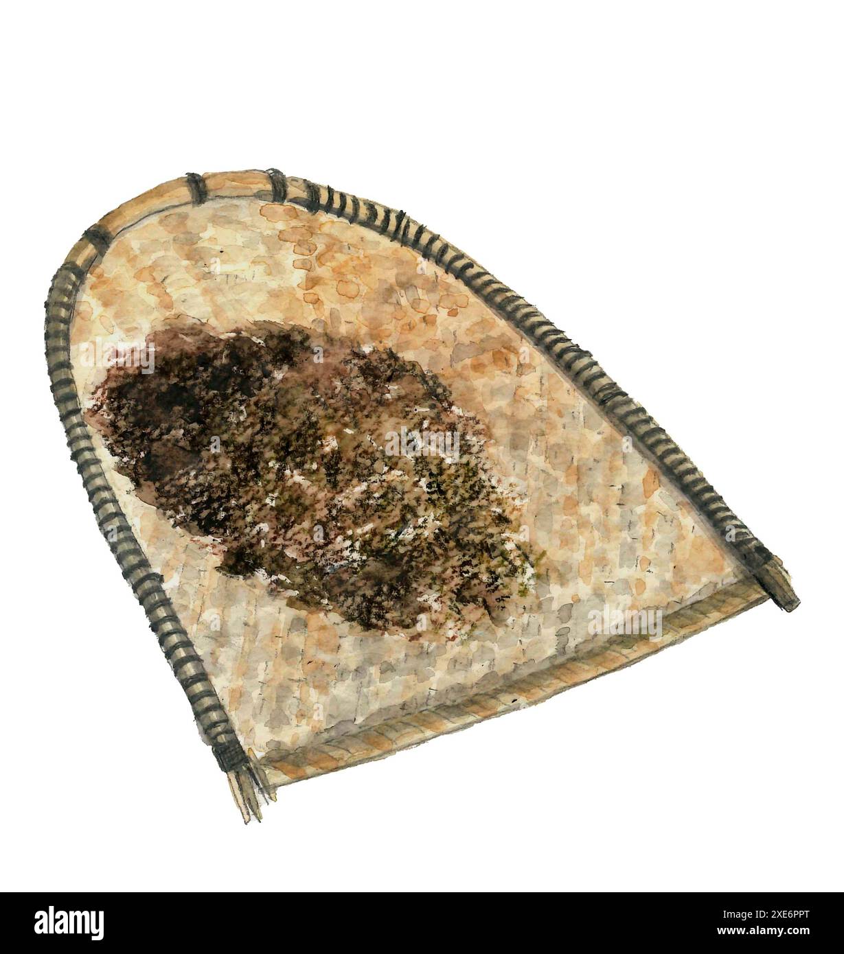 Alte Landwirtschaftswerkzeuge, Wino- und Buchweizenrümpfe, bemalt mit Aquarellen, weißem Hintergrund Stockfoto