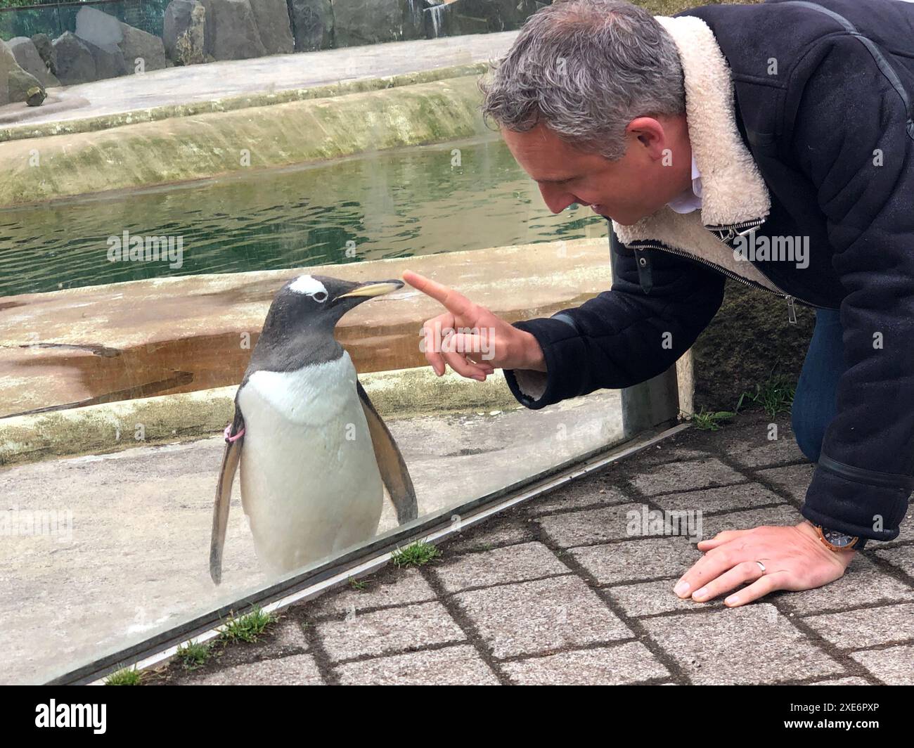 Alex Cole-Hamilton, Anführer der schottischen Lib dem im Zoo von Edinburgh, während er sich auf dem Wahlkampfpfad der Wahl befand. Bilddatum: Mittwoch, 26. Juni 2024. Stockfoto