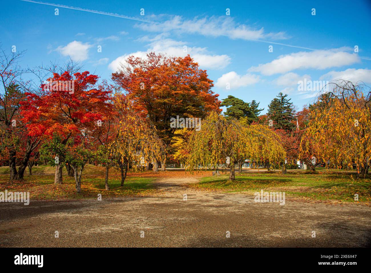 Leuchtende orange und farbenfrohe Herbstbäume im Park der Burg Hirosaki, Hirsaki, Honshu, Japan, Asien Copyright: CasparxSchlageter 1372-423 Stockfoto