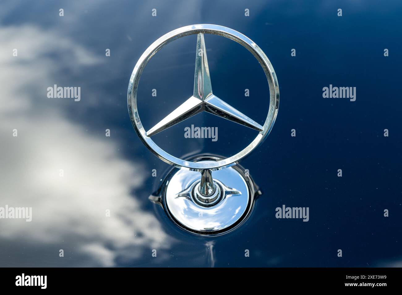 Emblem/Logo auf einem Mercedes Benz Auto. Stockfoto