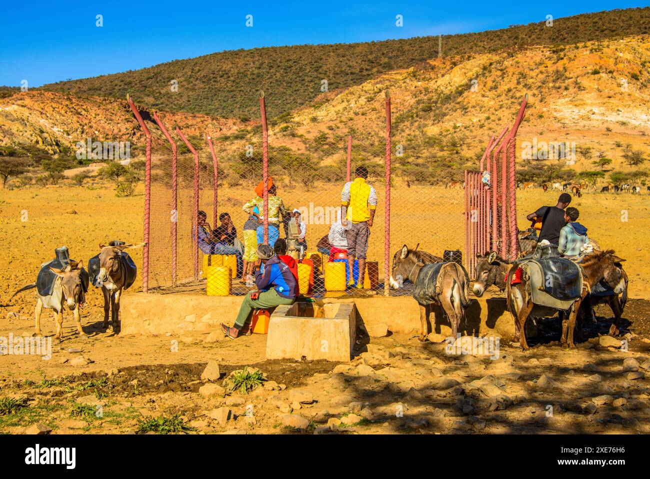 Die Einheimischen pumpen Wasser an einem Wasserloch mit Eseln entlang der Straße von Asmara nach Qohaito, Eritrea, Afrika Stockfoto