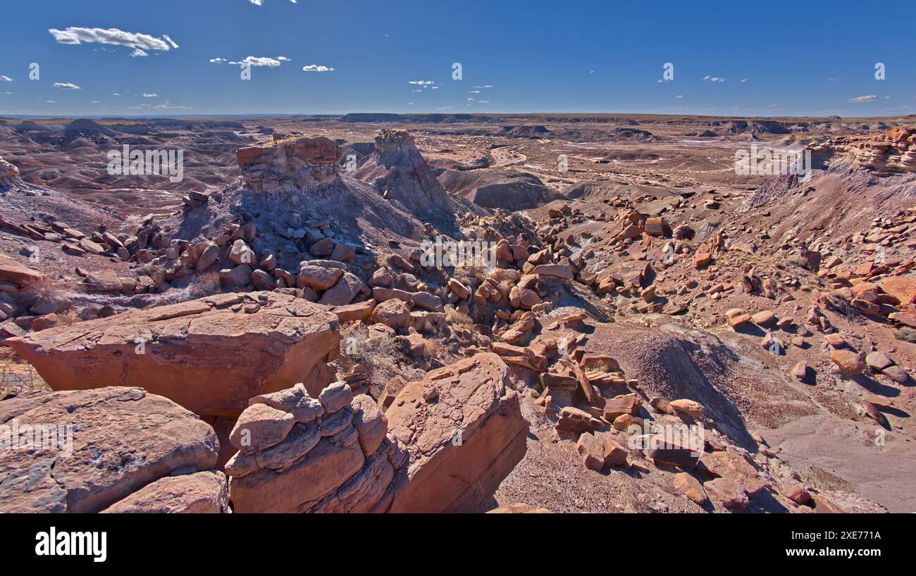 Felseninseln direkt vor einem mesa in der Nähe von Hamilili Point am südlichen Ende des Petrified Forest National Park, Arizona, USA, Nordamerika Stockfoto