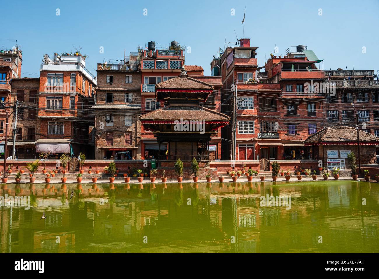 Pflanzgefäße und Backsteinhäuser rund um den See, lebendig grüner Bholachhe Teich im Herzen von Bhaktapur, Kathmandu Valley, Nepal, Asien Stockfoto
