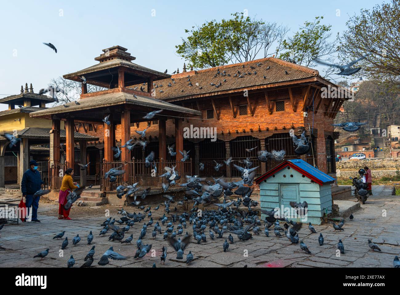 Indrayani Tempel beleuchtet durch Sonnenlicht und viele Tauben fliegen vor den Tempelmauern, Kathmandu, Nepal, Asien Stockfoto