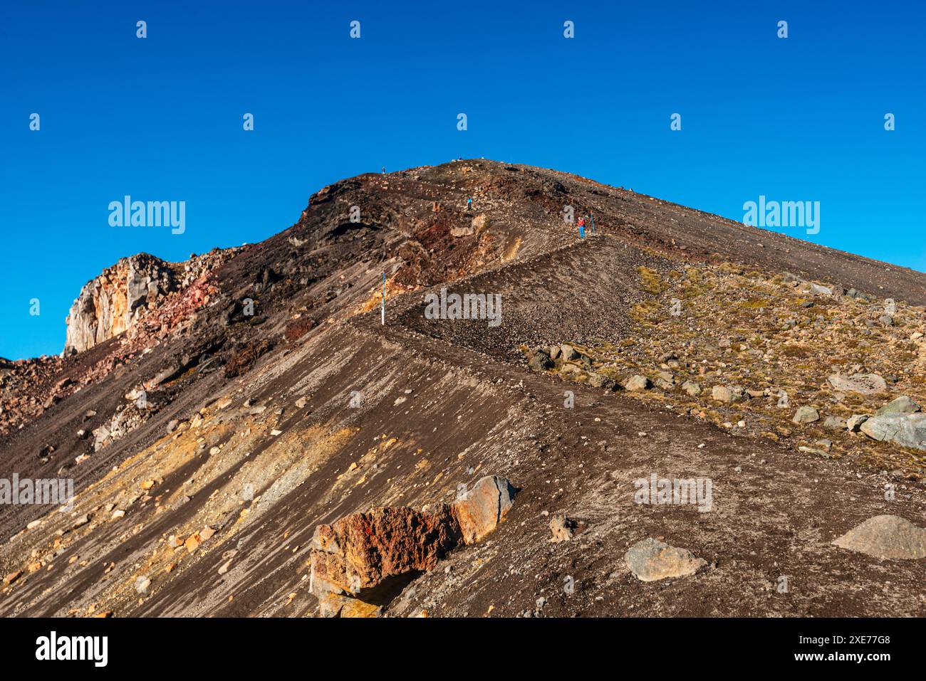Blick entlang der Hanglage und des Wanderweges hinauf zum Vulkan Red Crater, auf Tongariro Alpine Crossing, Tongariro National Park, Neuseeland Stockfoto