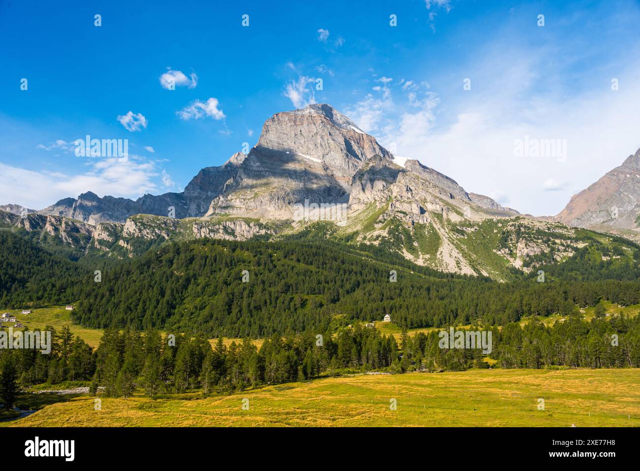 Üppig grüne Kiefernwälder und Wiesen vor dem hoch aufragenden Monte Leone, zerklüfteten Berg, italienische Alpen, Italien, Europa Stockfoto