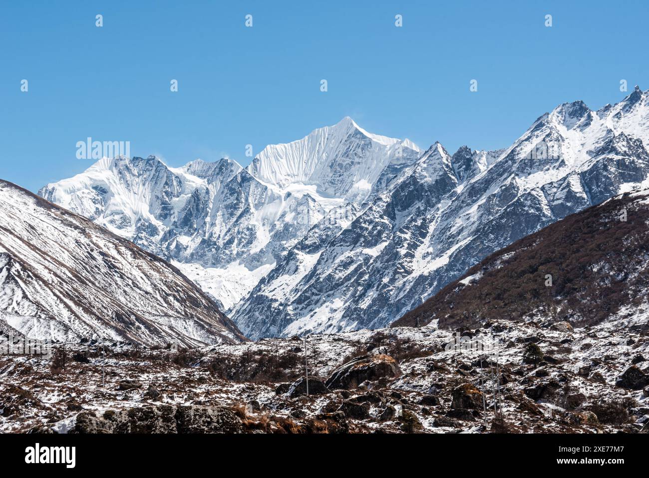 Blick auf das schneebedeckte Gangchempo im lang Tang Valley, in der Höhe des Nepal Himalaya, Nepal, Asien Stockfoto