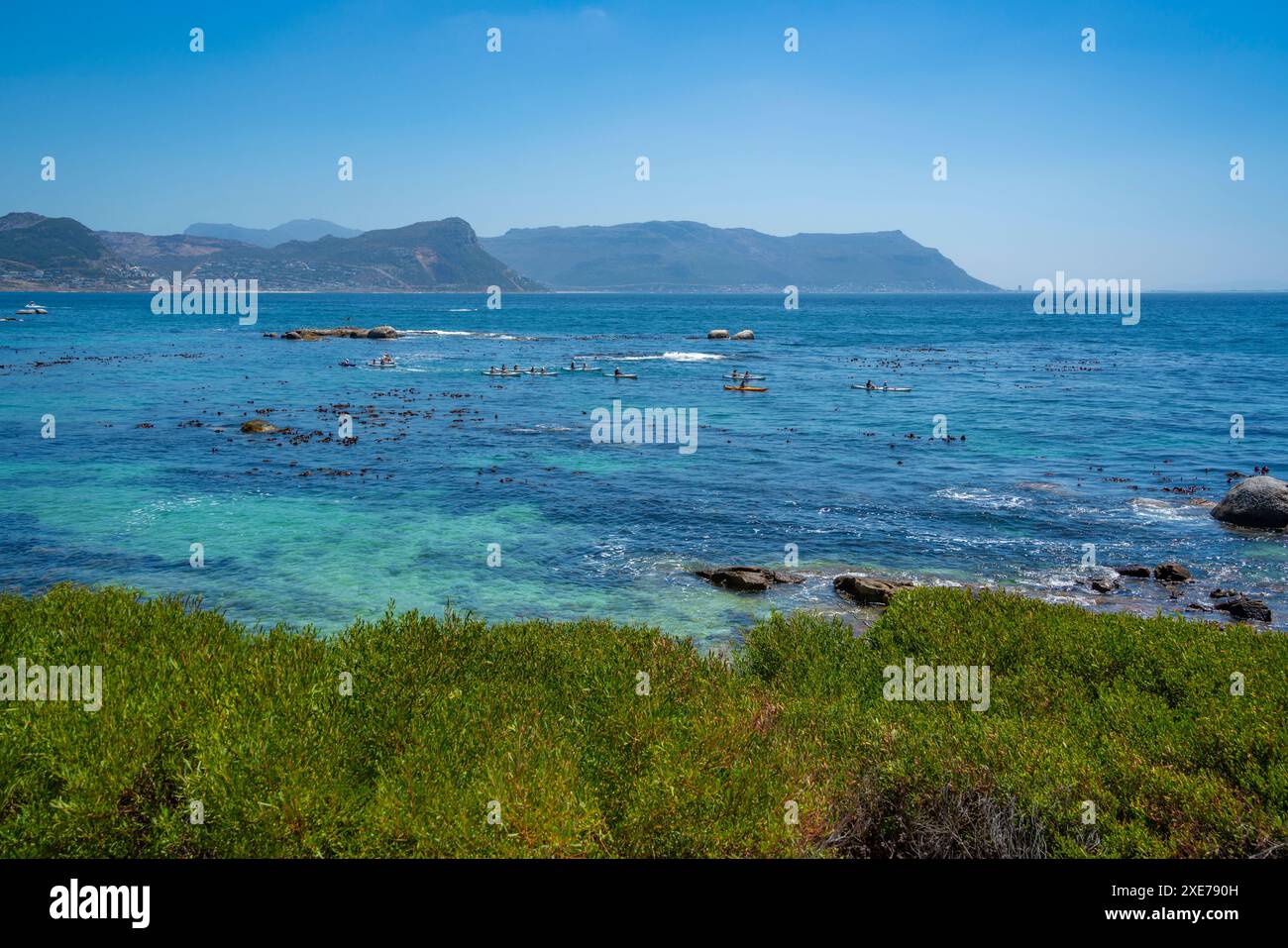 Blick auf Kanufahren und Boulders Beach von erhöhter Position, Seaforth, Table Mountain National Park, Kapstadt, Westkap, Südafrika, Afrika Stockfoto