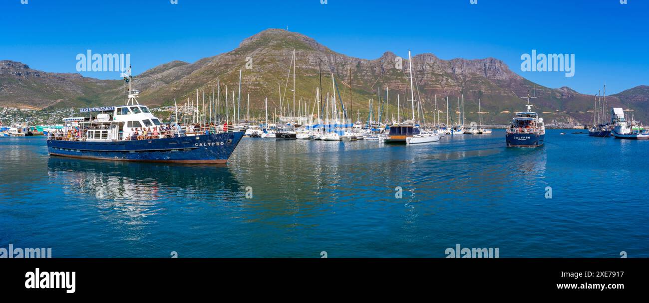 Blick auf das Glasbodenboot, das Hout Bay Harbour, Hout Bay, Kapstadt, Westkap, Südafrika, Afrika Stockfoto