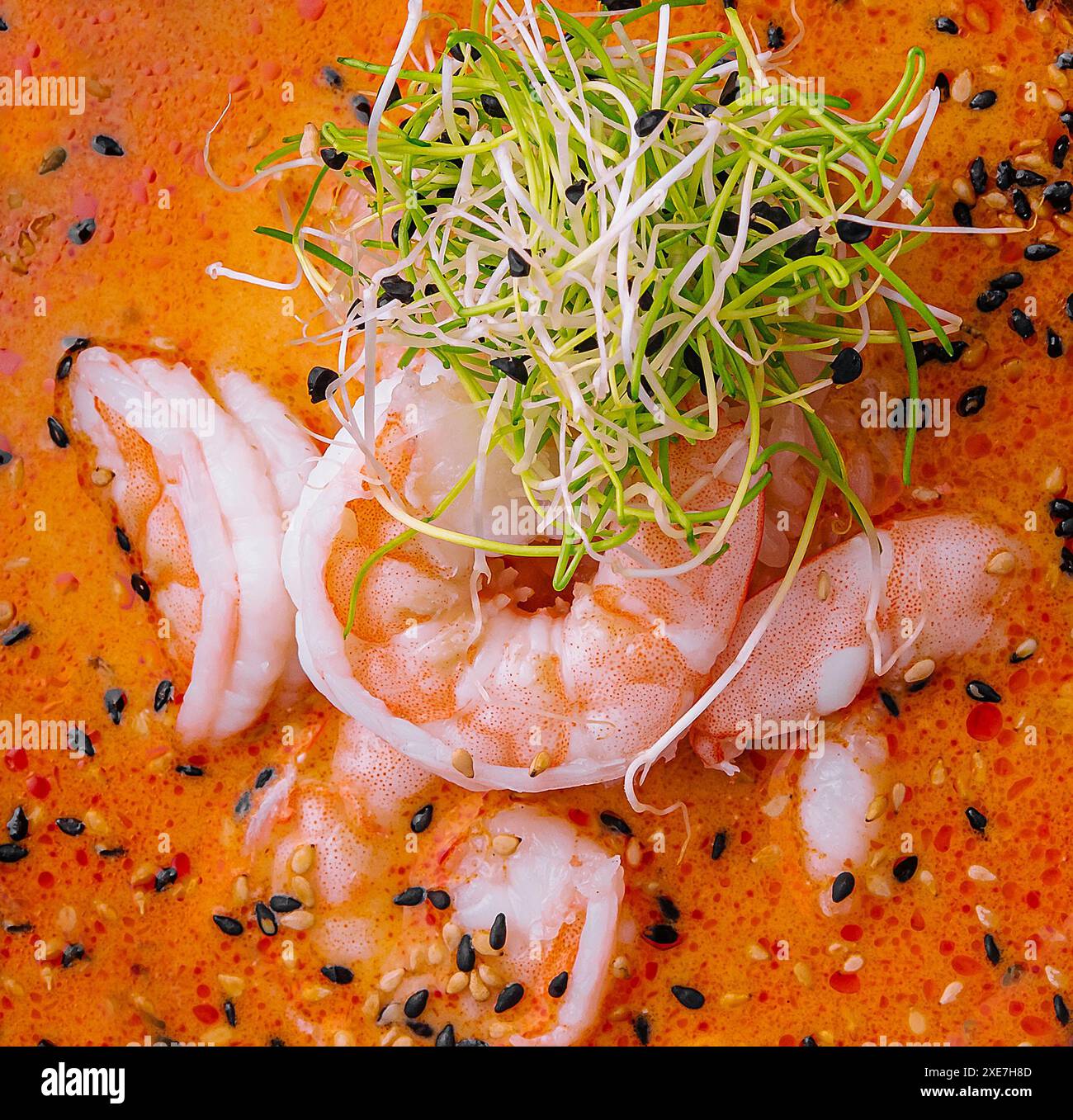 Tom Yum Suppe mit Garnelen Hintergrund Stockfoto