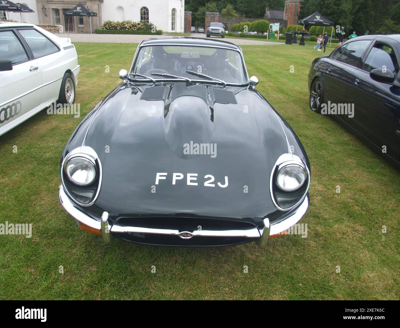 Vorderansicht eines klassischen dunkelgrünen Autos mit dem Kennzeichen FPE2J, das auf einem grasbewachsenen Feld geparkt ist. Stockfoto
