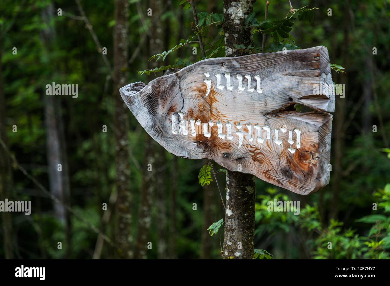 Ein handgeschnitzter Holzwegweiser mit der Aufschrift „zum Kreuzweg“ („zum Kreuzweg“) in einer alten deutschen Frakturschrift weist den Weg zum Kreuzweg im Bezirk Grossarl in Au, Lambach, Großarl, Salzburg, Österreich. Der Maurer Georg Gruber, bekannt als „Maurer Schorsch“, baute den Kreuzweg – mit insgesamt 15 Stationen in fünf kleinen Kapellen – über mehrere Jahrzehnte aus eigenem Antrieb. Stockfoto