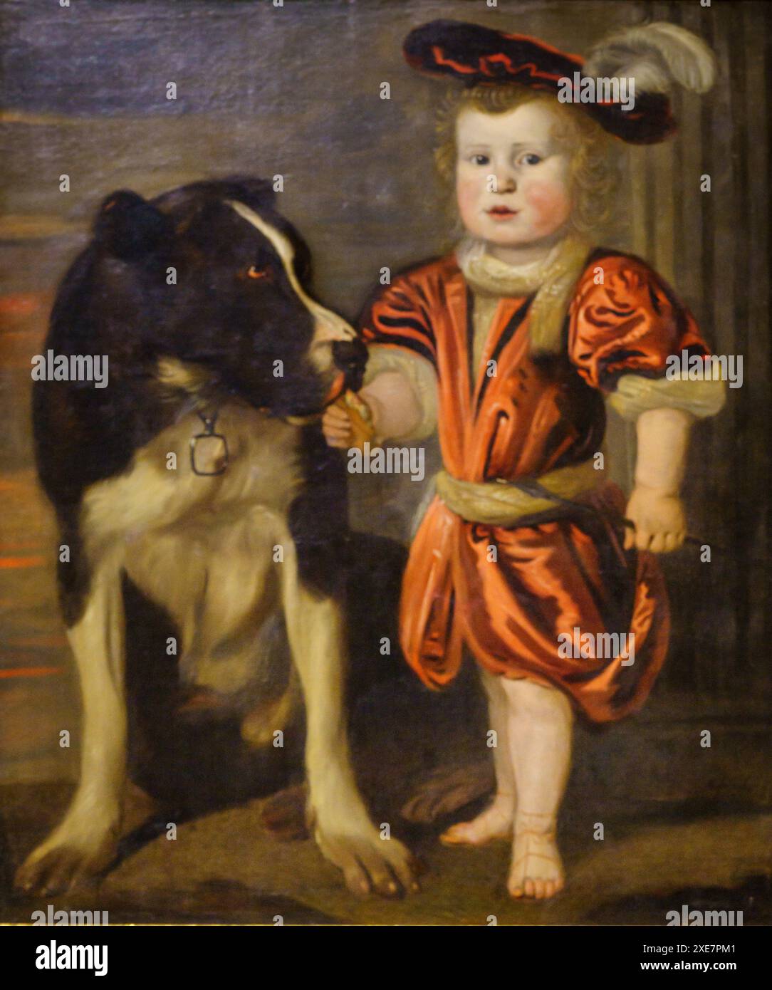 Junge mit einem Hund Stockfoto