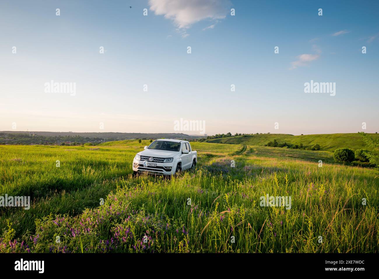 Weißer Volkswagen Amarok in einer hügeligen Landschaft. Vorderansicht des VW-Pickup-Trucks auf einer Wiese, der auf die Kamera zufährt. Stockfoto