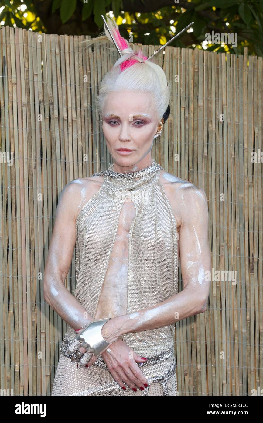 Daphne Guinness nimmt an der Serpentine Summer Party 2024 in der Serpentine Gallery in Kensington Gardens Teil. (Foto: Cat Morley / SOPA Images/SIPA USA) Stockfoto