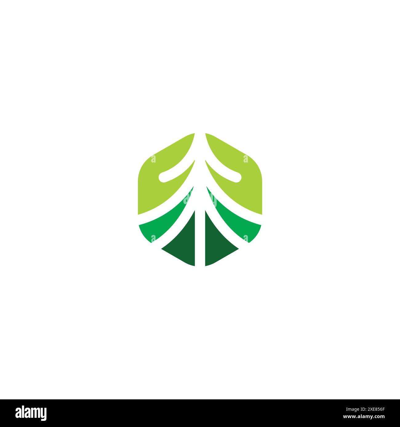 Vektor-Illustration Des Pine-Logos. Design Mit Icons Aus Kiefer Stock Vektor