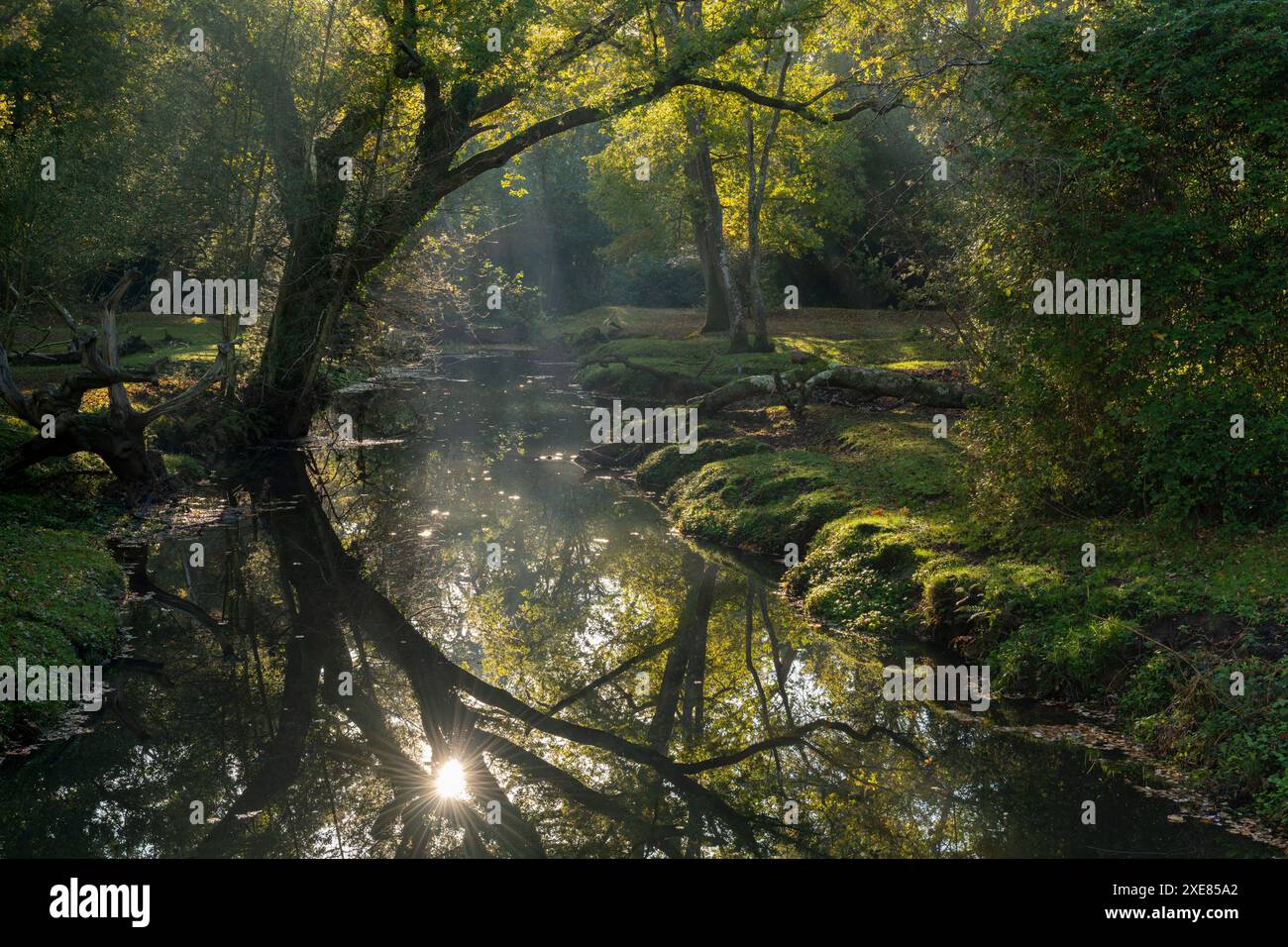 Die Sonne am frühen Morgen spiegelt sich im Beaulieu River, New Forest National Park, Hampshire, England. Herbst (Oktober) 2018. Stockfoto