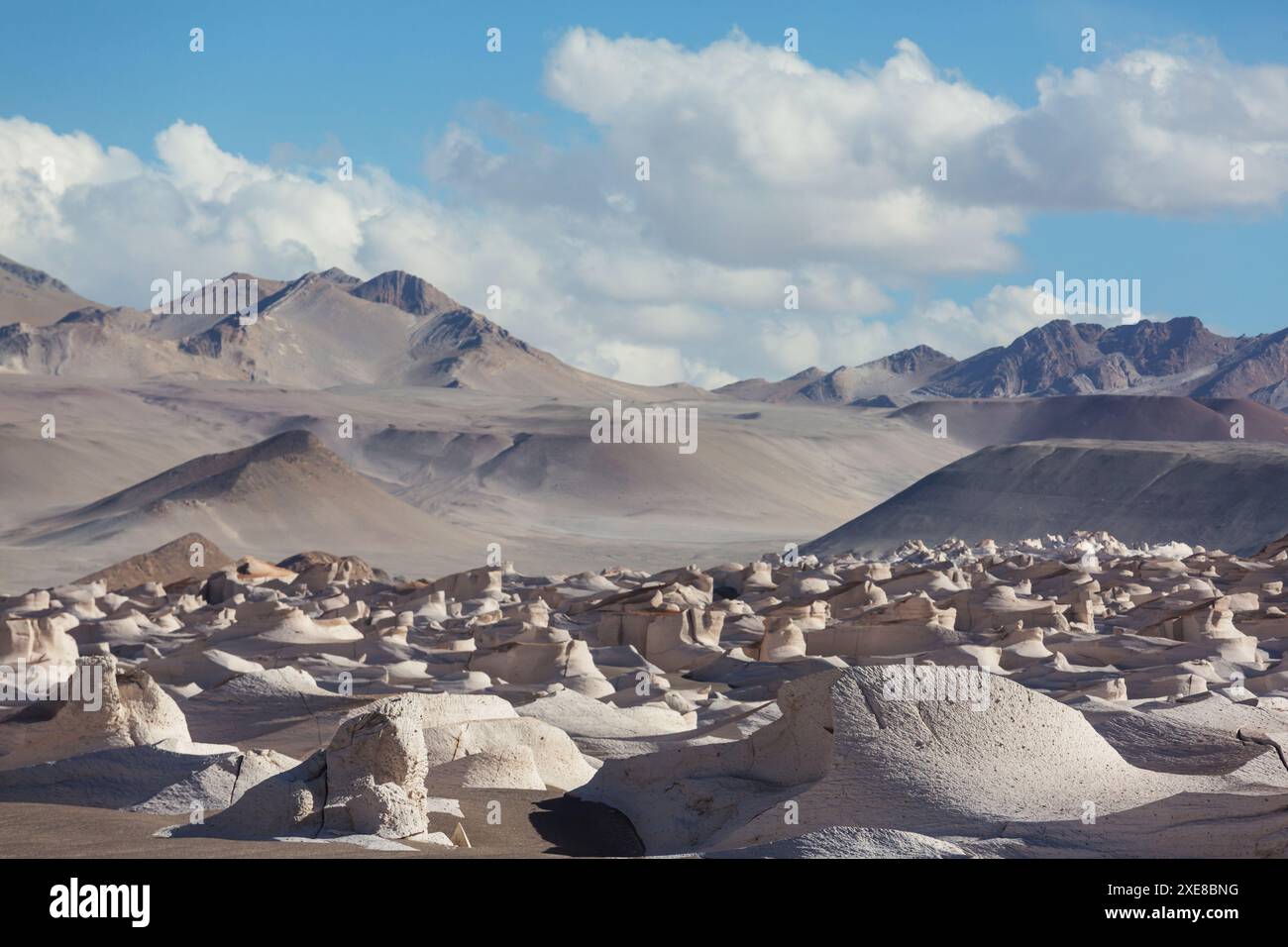 Der Campo de Piedra Pomez ist ein riesiges Feld aus vulkanischem Gestein und Sanddünen im Herzen der Provinz Catamarca, Argentinien Stockfoto